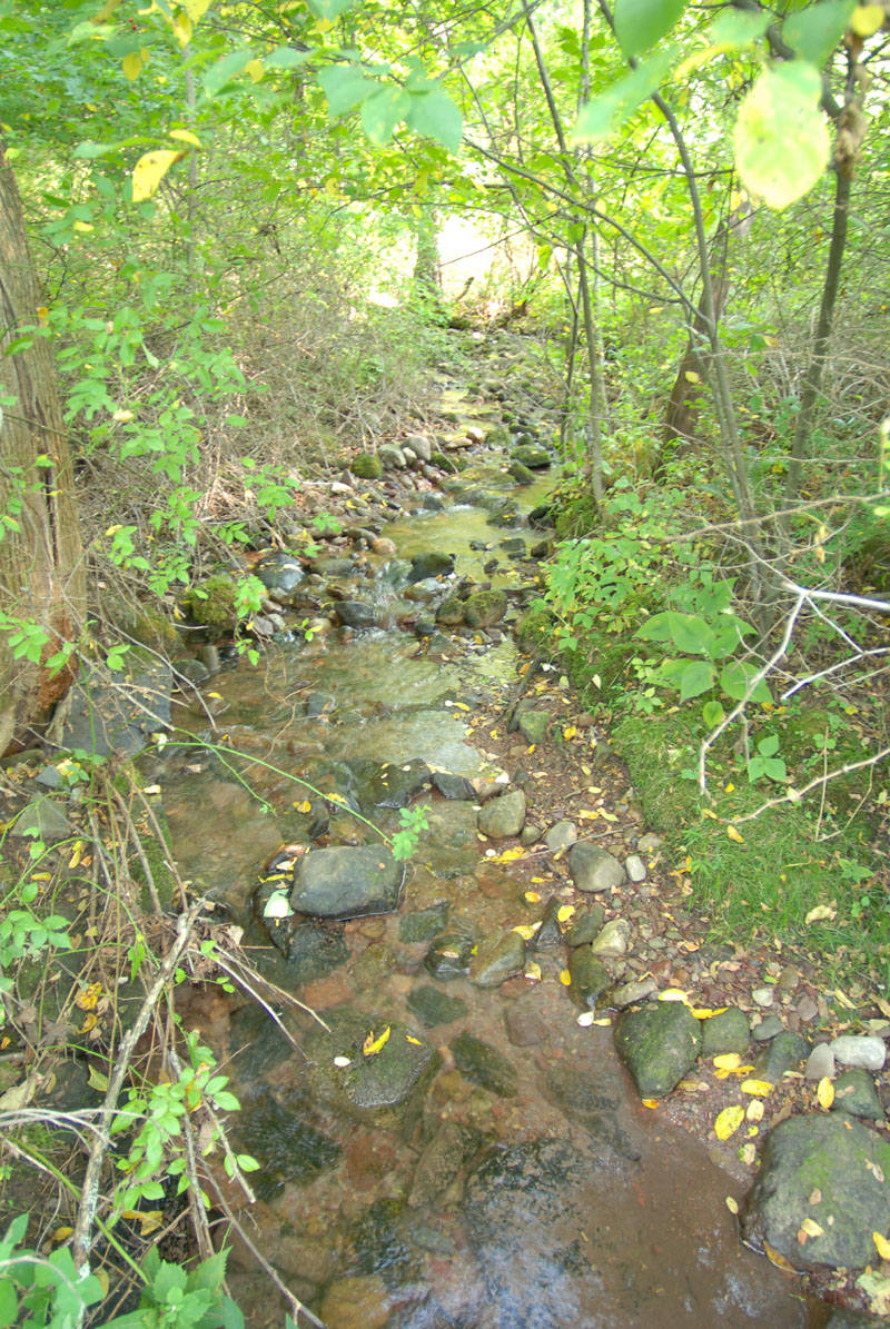 05.jpg