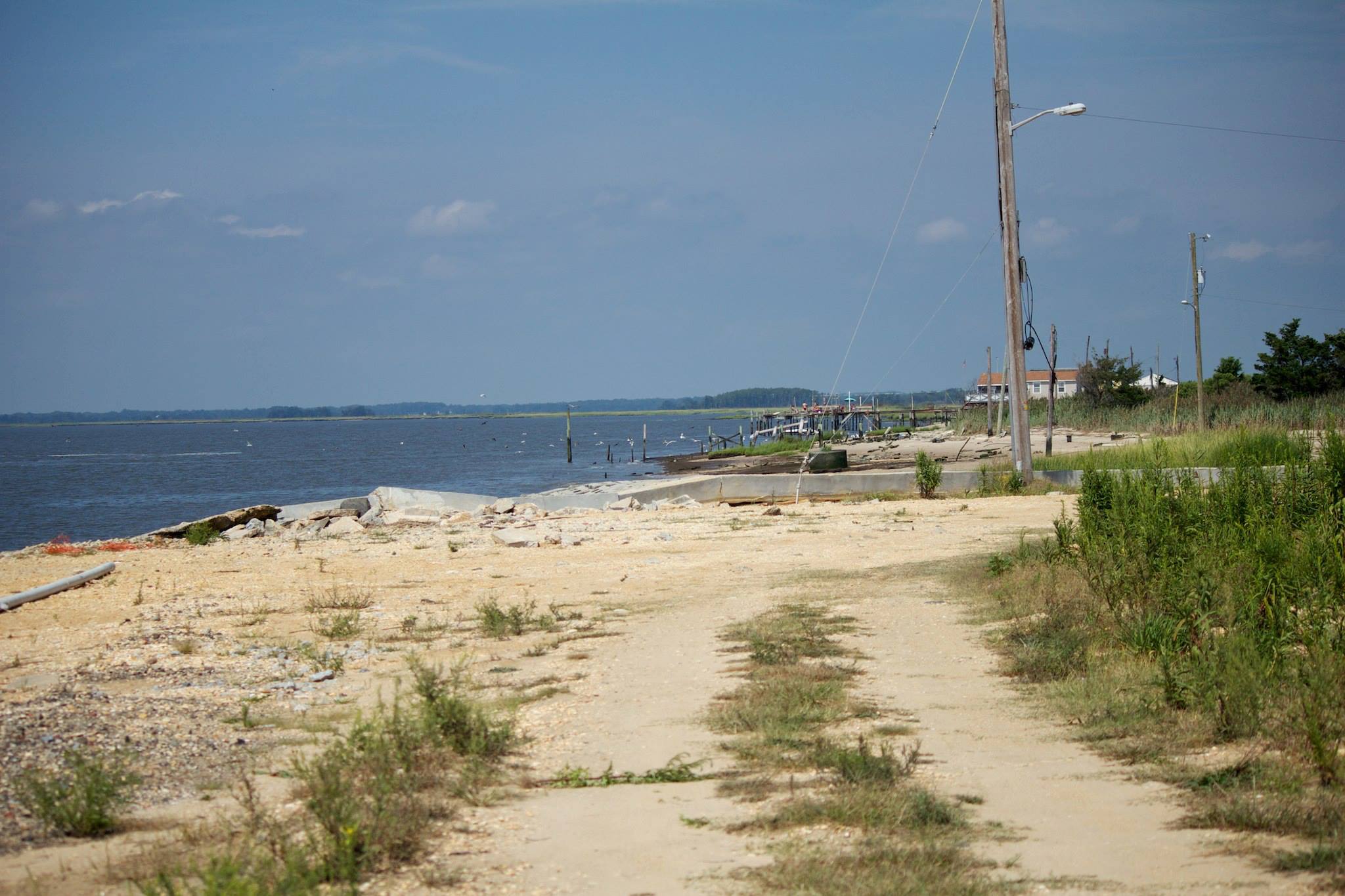 Delaware Bay Shore | NJPB Forums