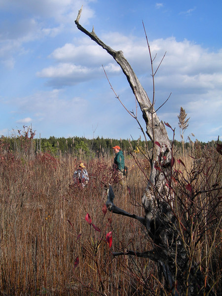 132145235_ZpZAM-L.jpg
