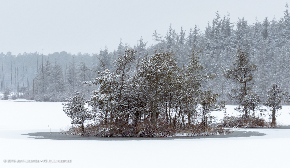 2019-01-13_snow_day.jpg