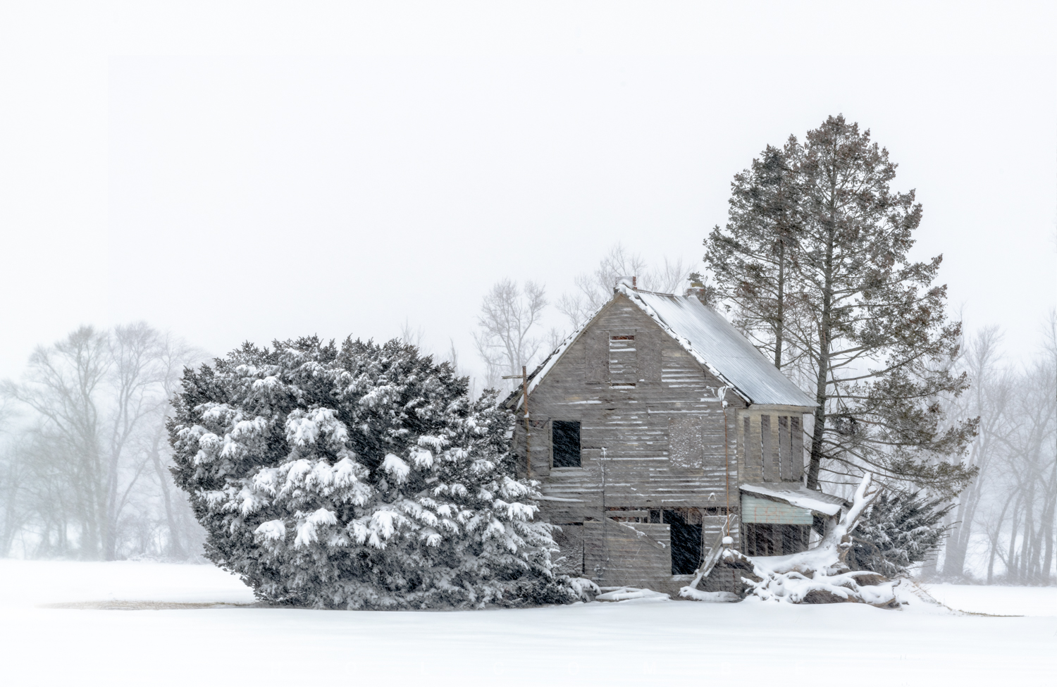 2022-01-29_blizzard_farmhouse.jpg
