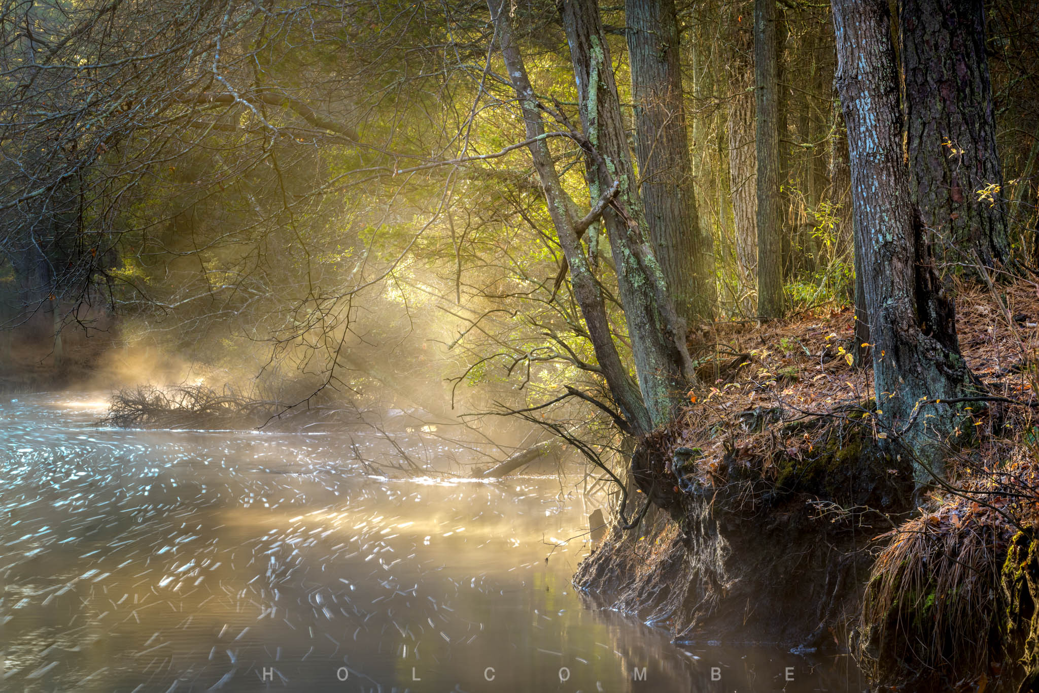 2022-12-04_illuminated_river_bank.jpg