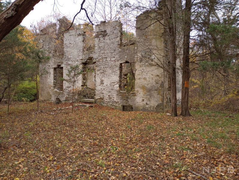 20231031_1434_Wheaton Mansion ruins.png