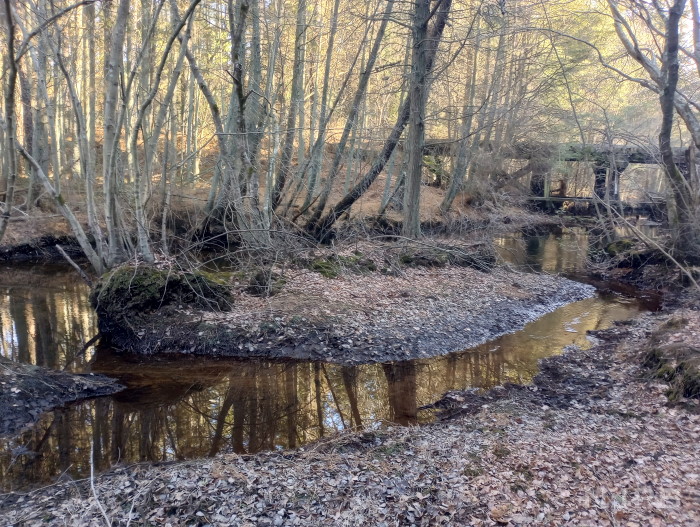 20250310_1655_Small island w_trestle in bkground.jpg