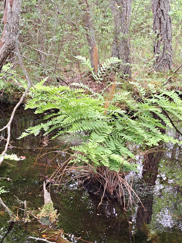 20250527_123153a.jpg