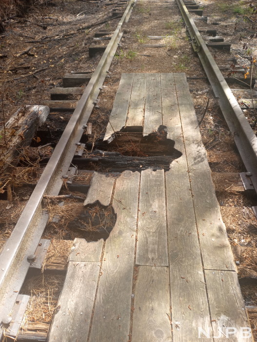 20250707_0932_Slight fire damage E end DR trestle.jpg
