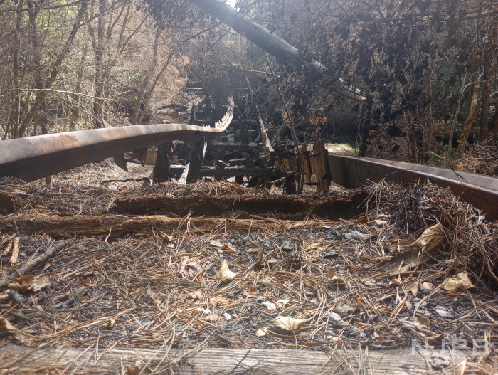 20250707_0945_1st view B trestle ruins looking E.jpg