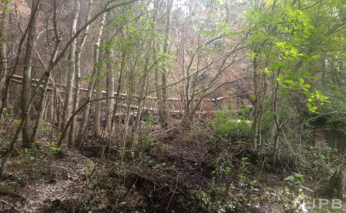 20250707_0956_View of damage at a distance.jpg