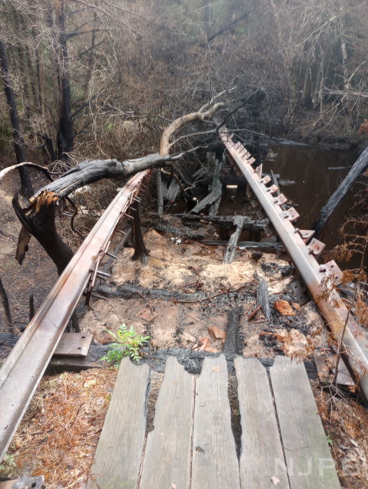 20250710_1745_Batsto trestle ruins NE end.jpg