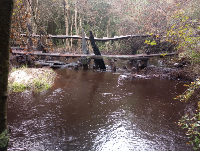 20250710_1833_Looking upstream at remains of trestle.jpg