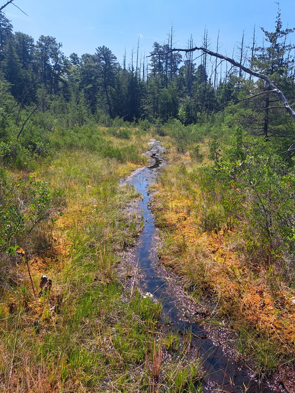 20250811_113535a.jpg