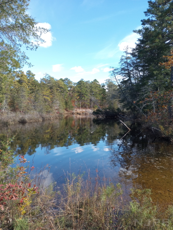 2025_10_27_PM_PBX Forks_Batsto.jpg