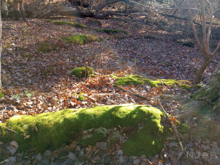 2025_11_24__GCS2_Green stairway.jpg