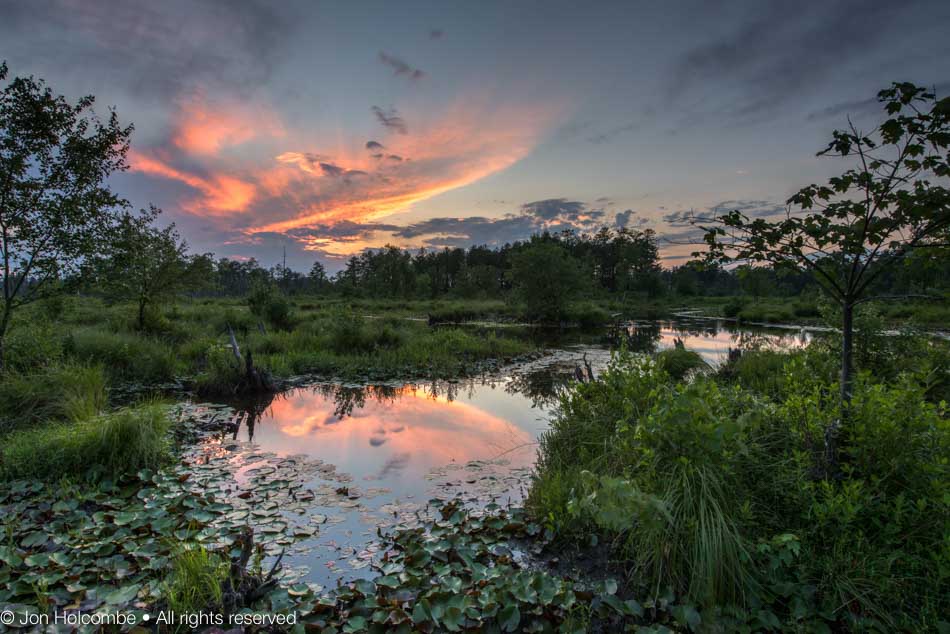 beaver_pond.jpg