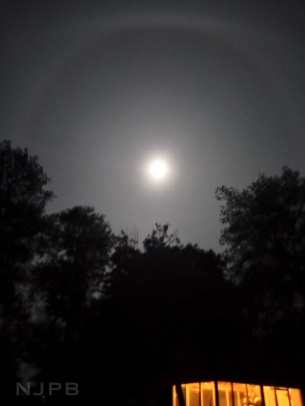 Blue full moon halo 4.png