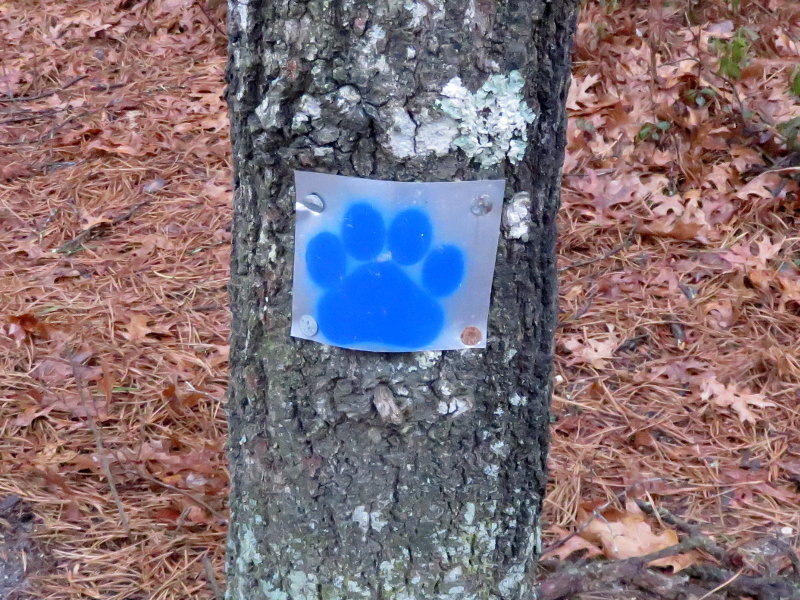 Blue_paw_marker.jpg