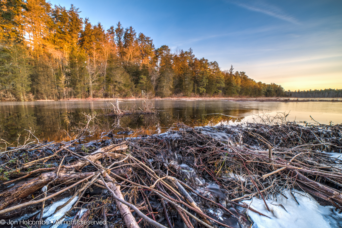 bog_dam_sunrise2-1.jpg