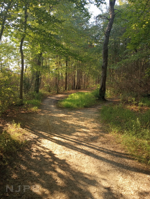 BRP trail 4 of 4_late in day.jpg