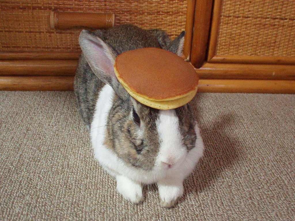 bunny-pancake.jpg