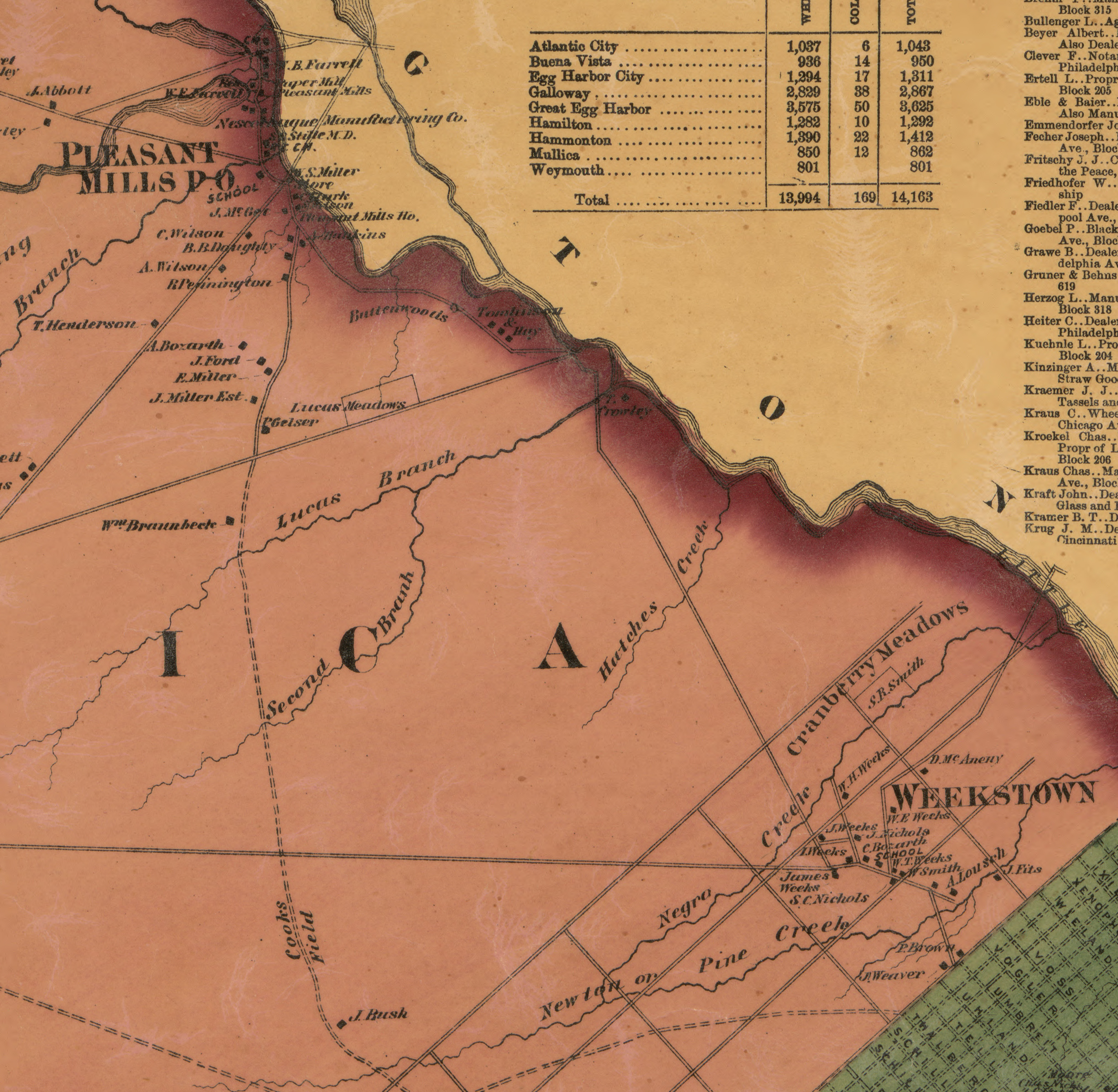 Cooks Field detail, 1872 Atlantic County map.jpg