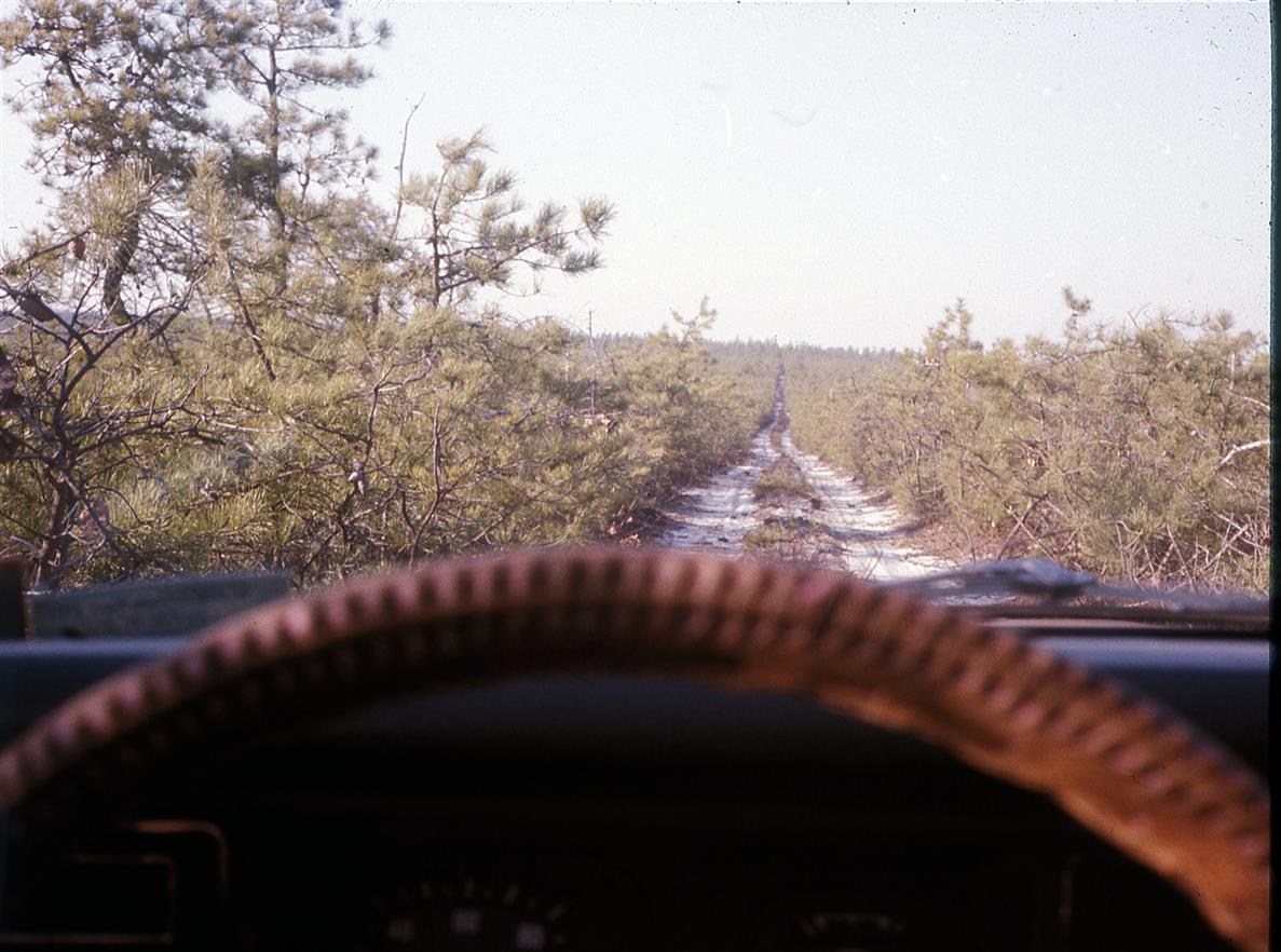 Driving through the NJPB in my '75 Subaru, May 1975.jpg
