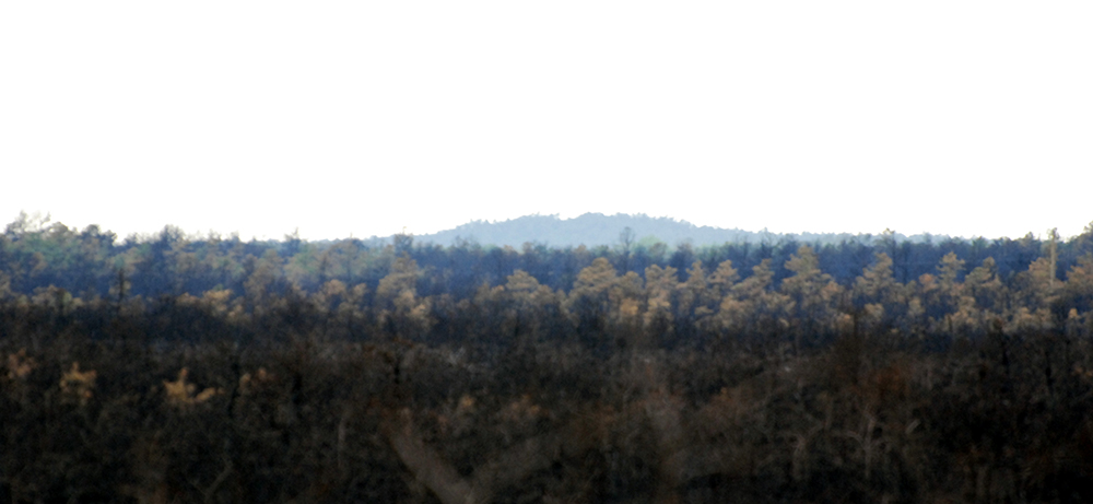 DSC_0248.JPG