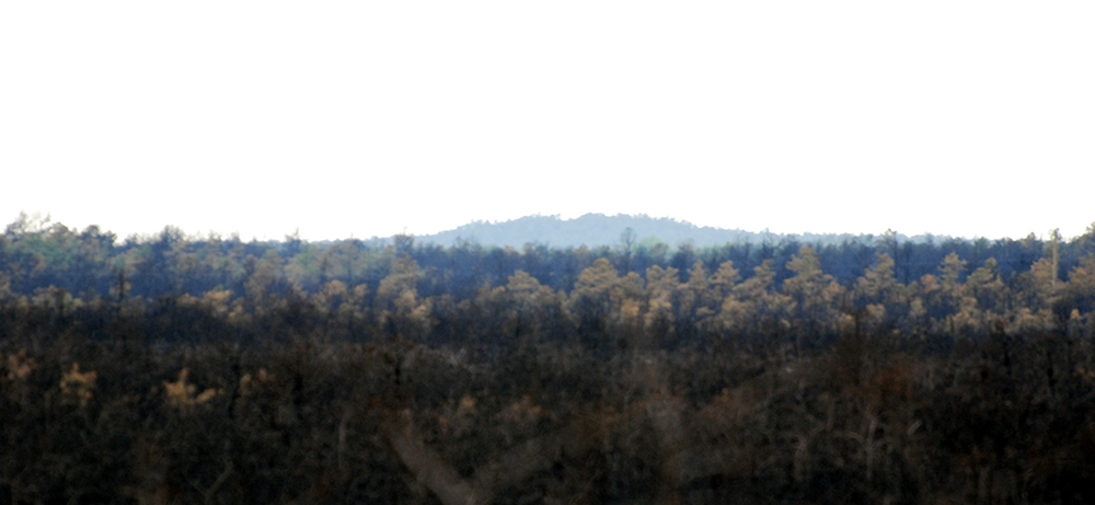 DSC_0248.JPG