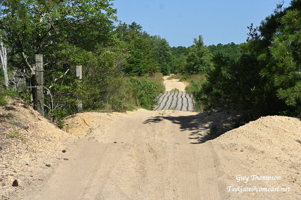 DSC_6737a.jpg