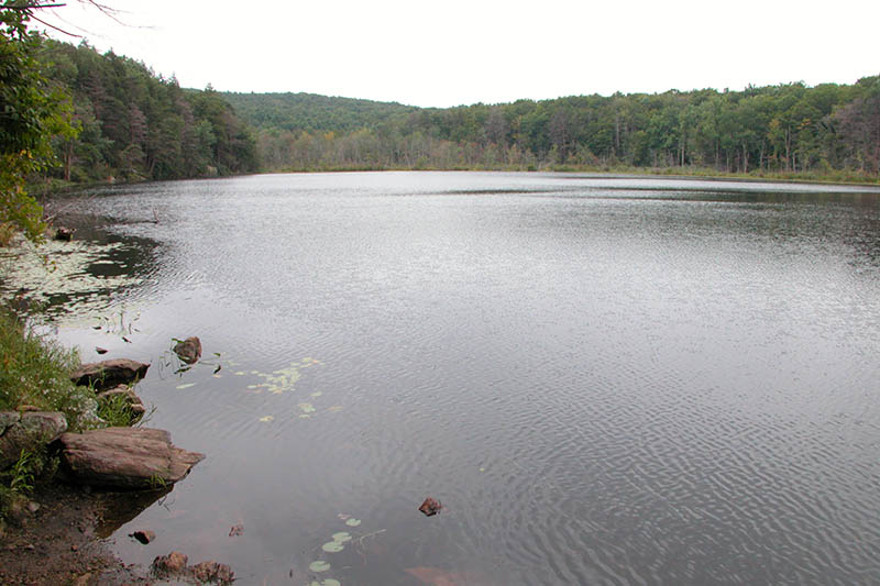 DSCN2095.JPG