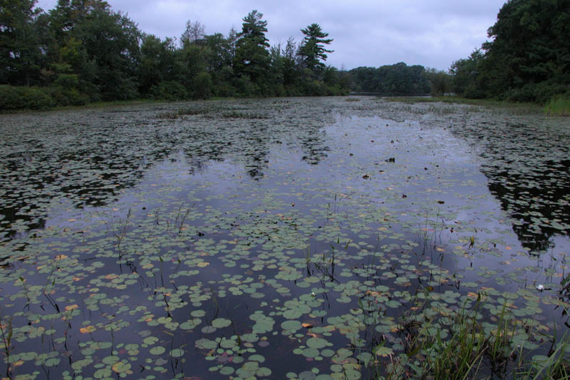 DSCN2123.JPG