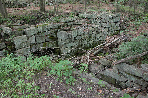 DSCN2129.jpg