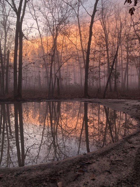 foggy morning 12-28-19 (Small).jpg