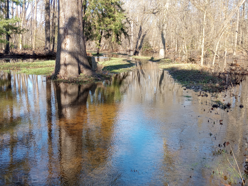Medford flooded path toward Park View Cem.png