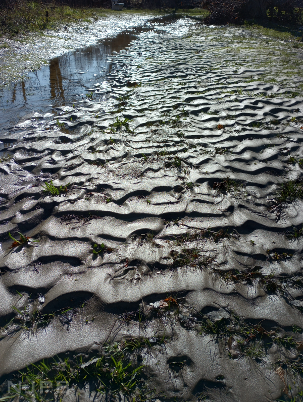 Medford mud ripples.png