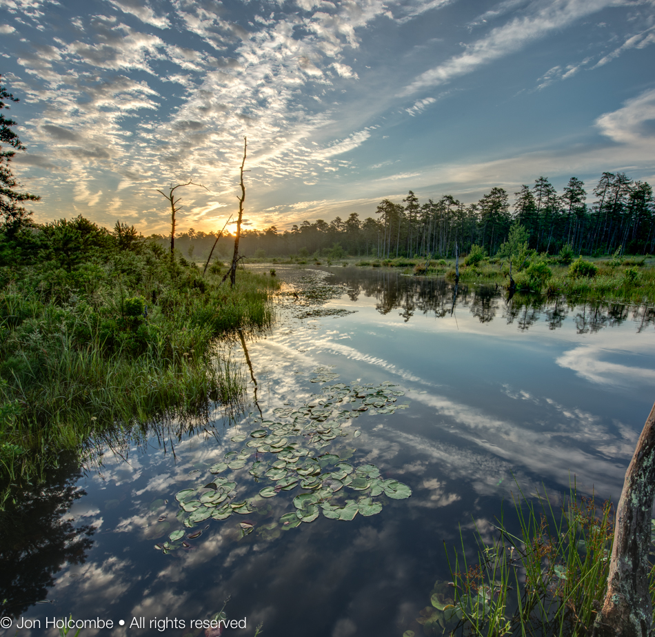 mullica_morning1.jpg