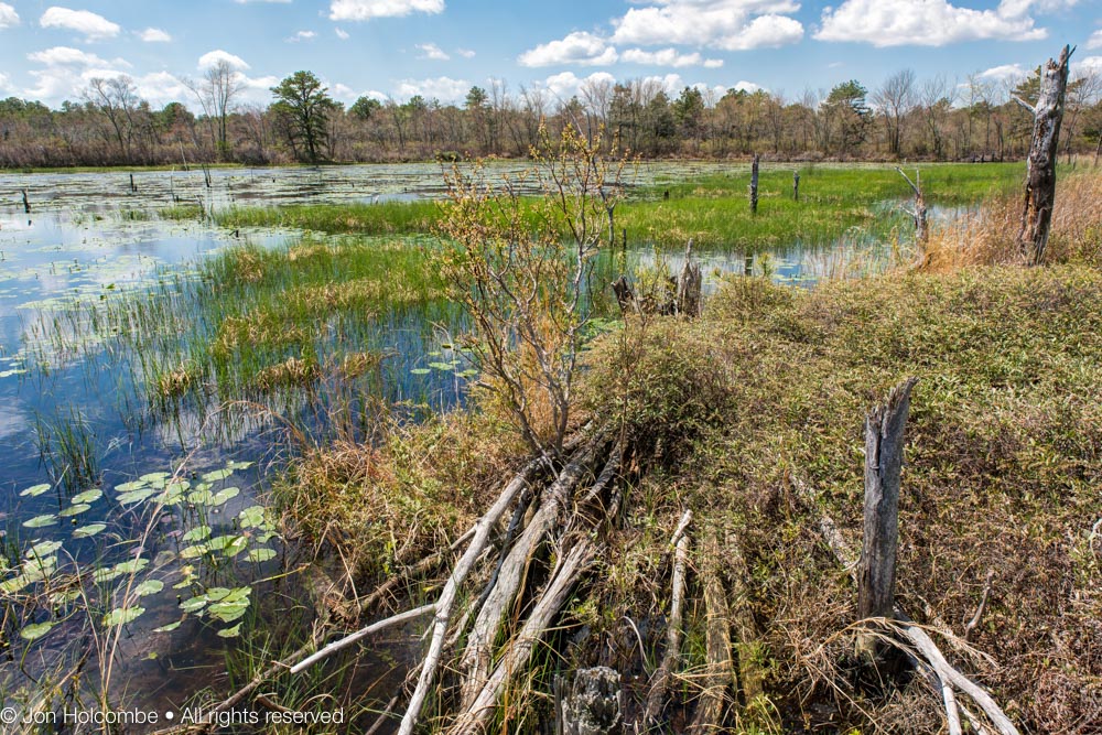 north_branch_mt_misery1.jpg