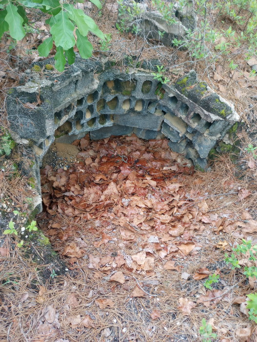 Old well near Ives Pond.jpg