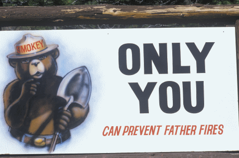 Only you can prevent father fires_smaller.png