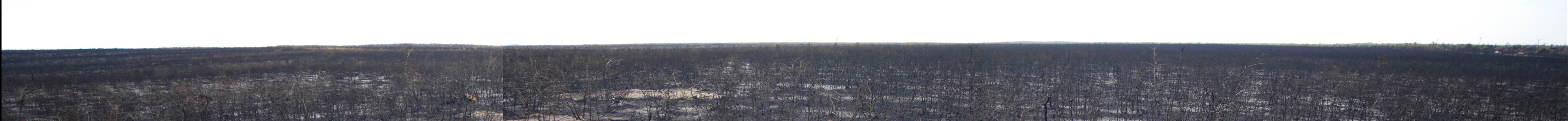 pano.jpg