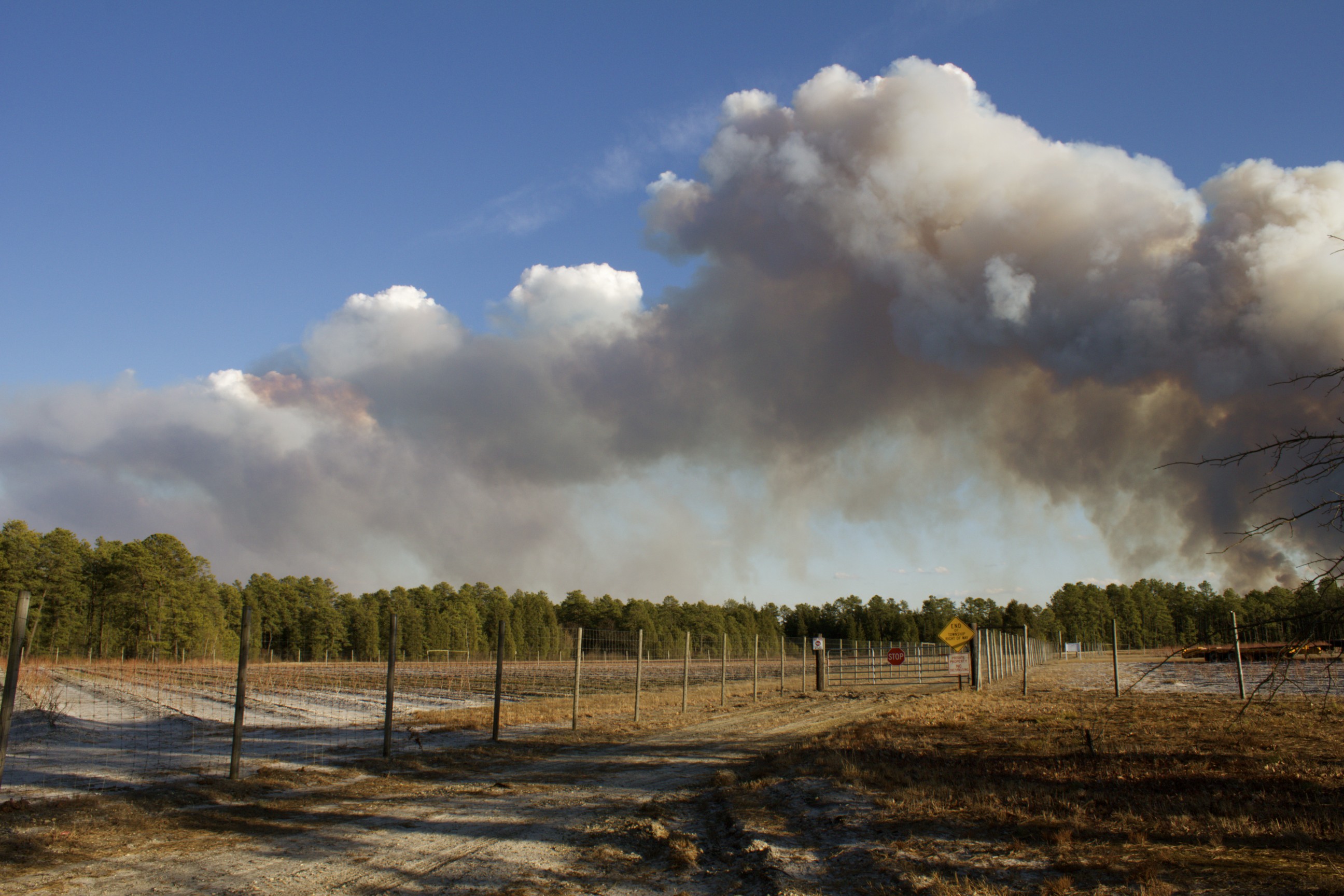 Prescribed Burn near Carranza  7.jpg