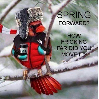 Spring Foward Cardinal.jpg
