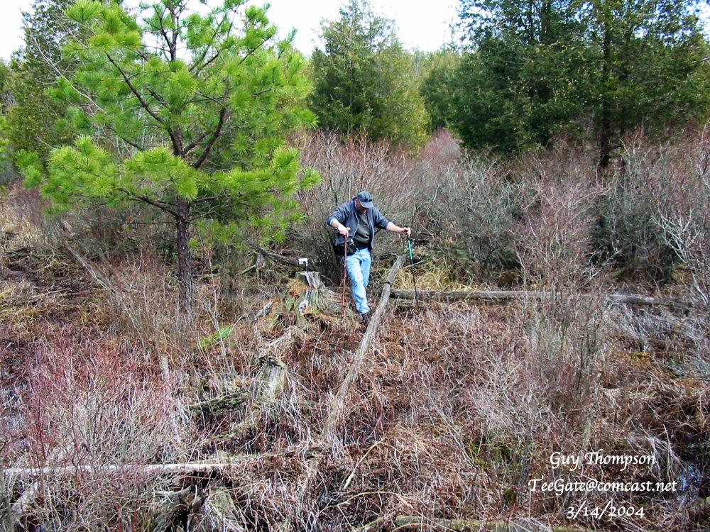 Steve (camera on stump).jpeg