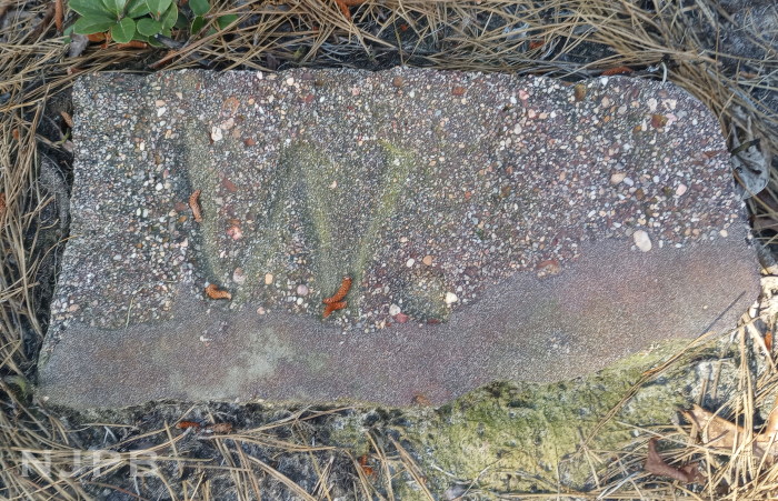 Stone along trail tenths past pond.jpg