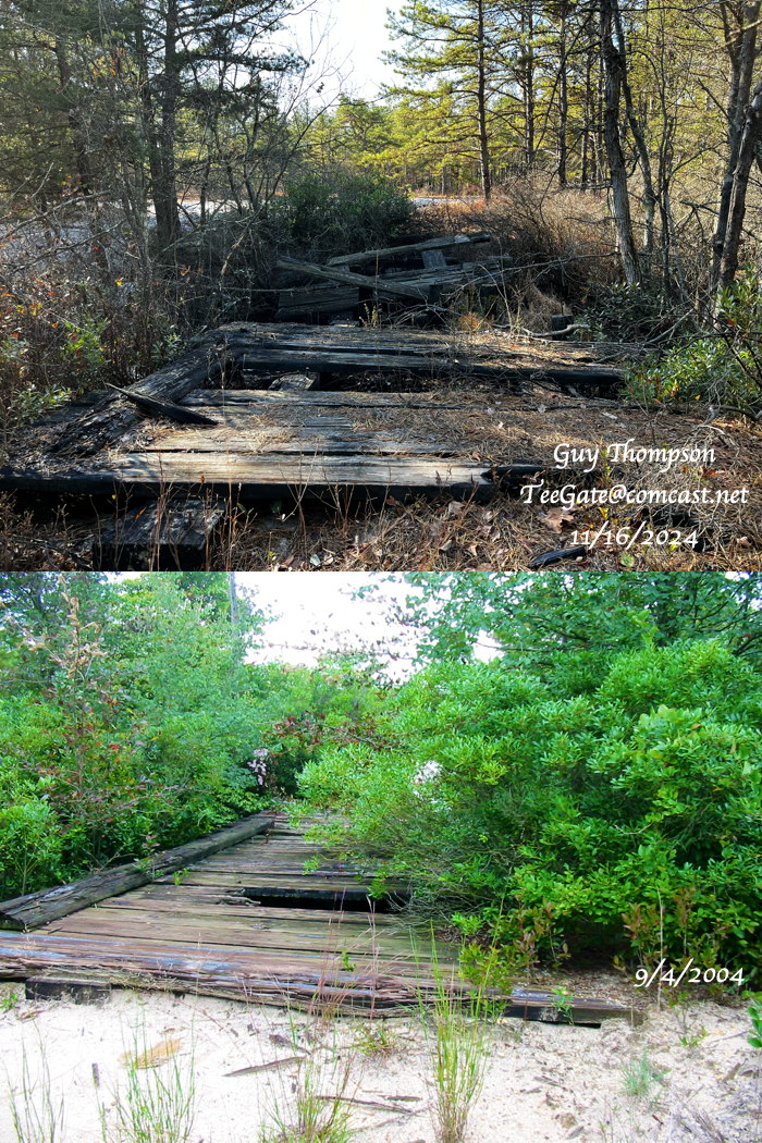 Then & Now Wescoat Bridge.jpg