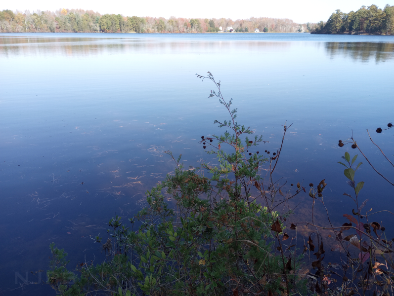 View across lake toward 206_Oct2023.png