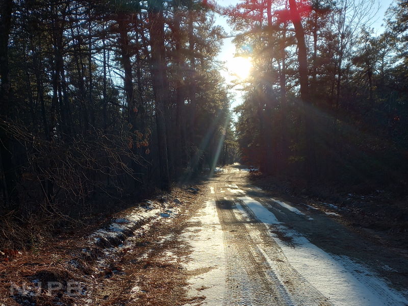 View down Fleming Pike.jpg