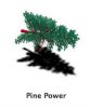 pinepower.jpg