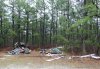 dumping in Woodland.jpg