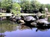 turtles3.jpg