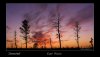 Sunset Edge of East Plains ©medici.jpg